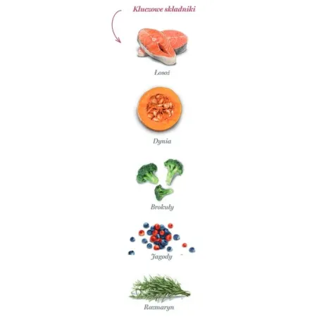 Amanova Dog Adult Mini Sensitive Salmon Deluxe - łosoś 2kg-2040066