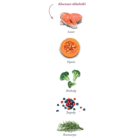 Amanova Dog Adult Mini Sensitive Salmon Deluxe - łosoś 800g-2040072