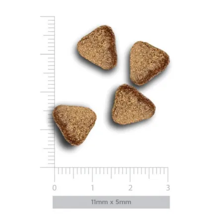 Amanova Dog Adult Mini Digestive Divine Rabbit - królik 800g-2040085