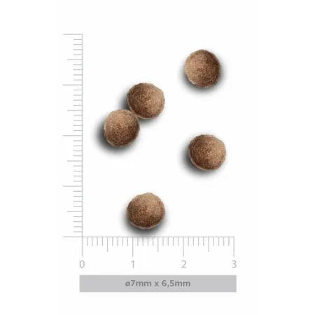 Amanova Dog Puppy Mini Exquisite Chicken - kurczak 2kg-2040112