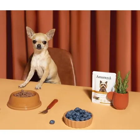 Amanova Dog Adult Exquisite Chicken - kurczak saszetka 300g [P03]-2040126