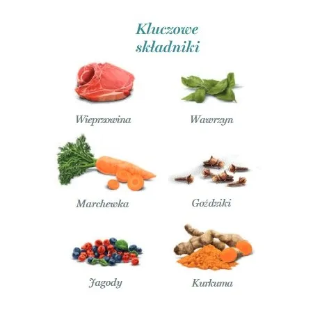 Amanova Dog Adult Iberian Pork - wieprzowina saszetka 300g [P04]-2040136