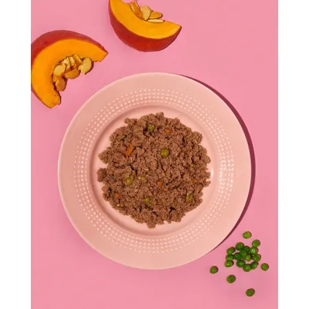 Amanova Dog Adult Tasty Salmon & Turkey - łosoś i indyk saszetka 100g [P06]-2040149