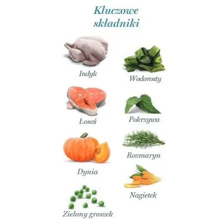 Amanova Dog Adult Tasty Salmon & Turkey - łosoś i indyk saszetka 300g [P06]-2040157