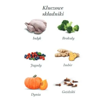 Amanova Dog Adult Turkey Delight - indyk saszetka 300g [P07]-2040169