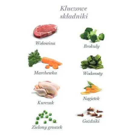 Amanova Dog Adult Brilliant Beef & Chicken - wołowina i kurczak saszetka 300g [P01]-2040175