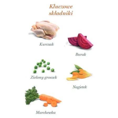 Amanova Dog Puppy Exquisite Chicken - kurczak saszetka 300g [P08]-2040195