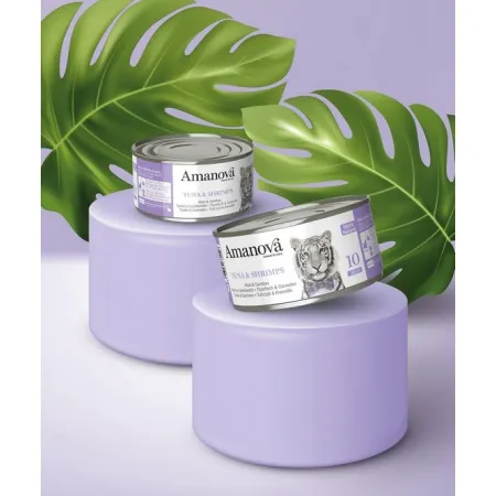 Amanova Cat Tuna & Shrimps - tuńczyk i krewetki w galaretce puszka 70g [10]-2040241