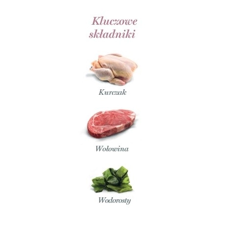 Amanova Cat Brilliant Beef & Chicken - wołowina i kurczak saszetka 85g [P14]-2040267