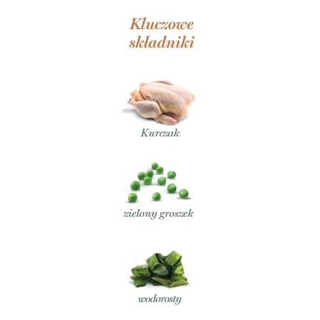 Amanova Cat Sterilised Chicken - kurczak saszetka 85g [P10]-2040280