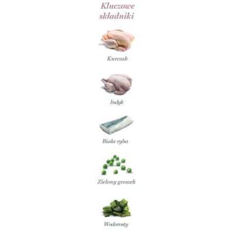 Amanova Cat Sterilised Fish & Turkey - biała ryba i indyk saszetka 85g [P12]-2040285