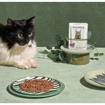 Amanova Cat Sterilised Lamb & Sardines - jagnięcina i sardynki saszetka 85g [P13]-2040292