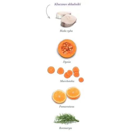 Amanova Cat Sterilised Fish Delicacy - biała ryba 300g-2040333