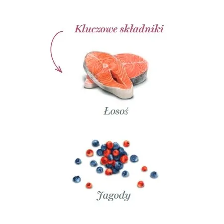 Amanova Dog Salmon Bites - łosoś 100g-2040578