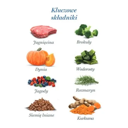 Amanova Dog Adult Delicious Lamb - jagnięcina saszetka 100g [P15]-2040583