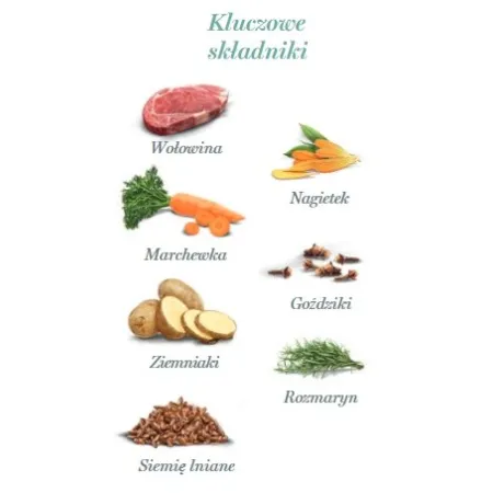 Amanova Dog Adult Irresistible Beef - wołowina saszetka 100g [P02]-2040588