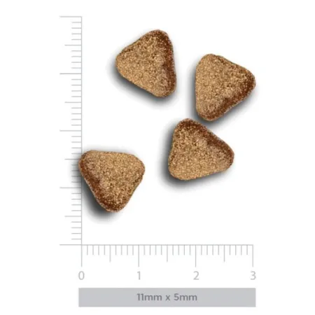 Amanova Dog Adult Mini Sensitive Salmon Deluxe - łosoś 7kg-2040610