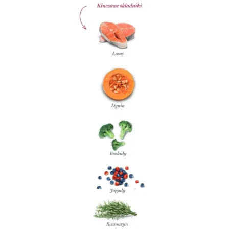 Amanova Dog Adult Sensitive Salmon Deluxe - łosoś 2kg-2040621