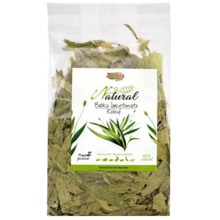 Alegia Babka lancetowata 100g-2040632