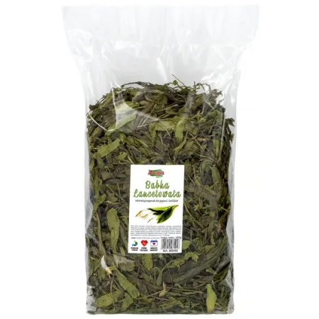 Alegia Babka lancetowata 300g