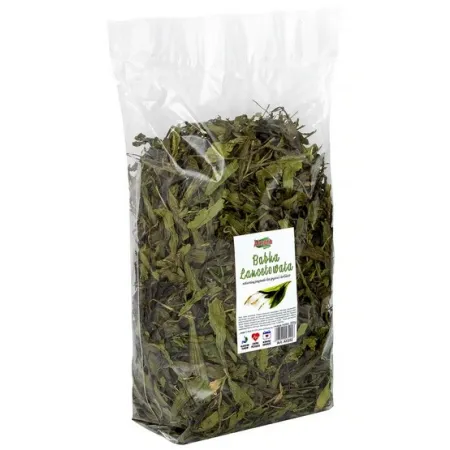 Alegia Babka lancetowata 300g-2040634