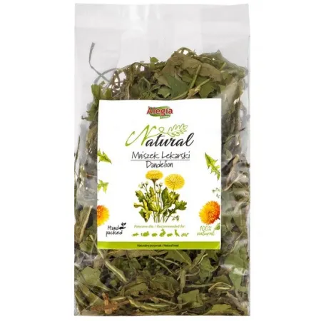 Alegia Mniszek lekarski 90g-2040646