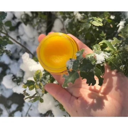 Francodex Biodene Balsam regenerujący i nawilżający dla zwierząt 50ml-2040720