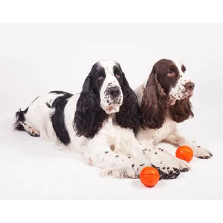 Collar Liker9 Piłka o średnicy 9cm-2040745