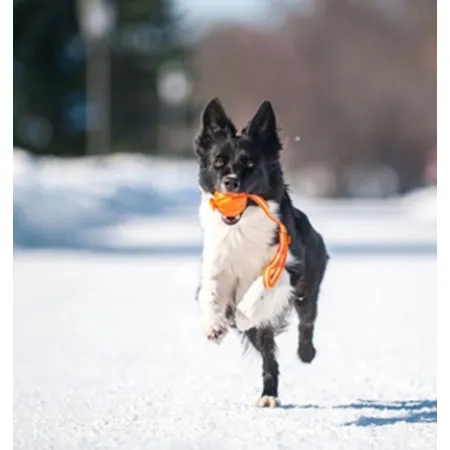 Collar Liker7 Line o średnicy 7cm-2040756