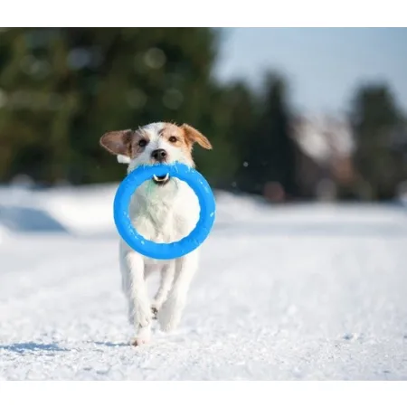 Collar PitchDog20 Pierścień do aportowania 20cm niebieski-2040766
