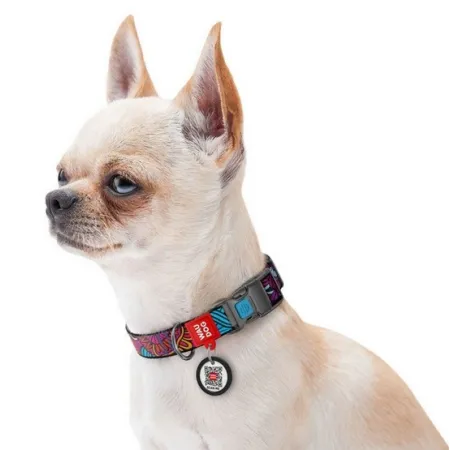 Collar WauDog Nylon Obroża nylonowa z QR-paszportem, plastikowy fastex, wzór LATO, 20mm/28-40cm-2040803