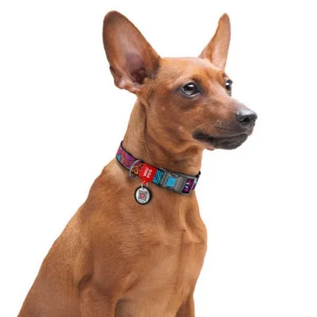 Collar WauDog Nylon Obroża nylonowa z QR-paszportem, plastikowy fastex, wzór LATO, 25mm/37-58cm-2040814