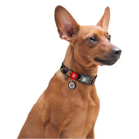 Collar WauDog Nylon Obroża nylonowa z QR-paszportem, plastikowy fastex, wzór POMARAŃCZE, 20mm/28-40cm-2040839