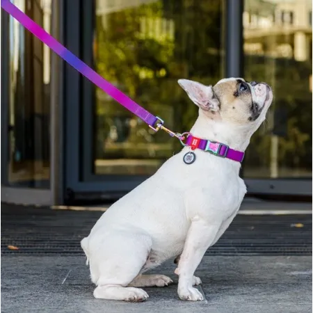 Collar WauDog Recycled Obroża nylonowa z QR-paszportem, gradient S 15mm/25-35cm fioletowy-2040852