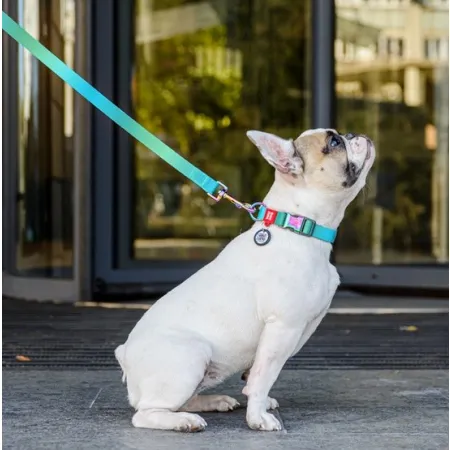 Collar WauDog Recycled Obroża nylonowa z QR-paszportem, gradient M 20mm x 28-40cm niebieski-2040864