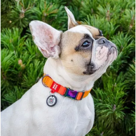 Collar WauDog Recycled Obroża nylonowa z QR-paszportem, gradient M 20mm x 28-40cm pomarańczowy-2040879