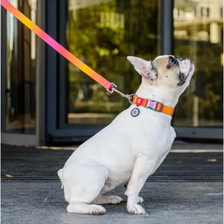 Collar WauDog Recycled Obroża nylonowa z QR-paszportem, gradient XL 25mm x 37-58cm pomarańczowy-2040888