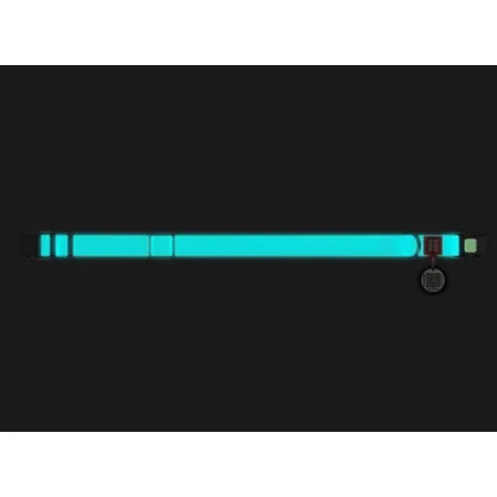 Collar WauDog Waterproof Obroża wodoodporna z QR-paszportem, akumulująca światło, plastikowy fastex, 15mm/25-35cm-20