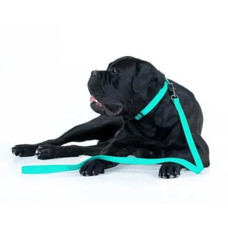 Collar WauDog Waterproof Obroża wodoodporna z QR-paszportem, akumulująca światło, plastikowy fastex, 15mm/25-35cm-20