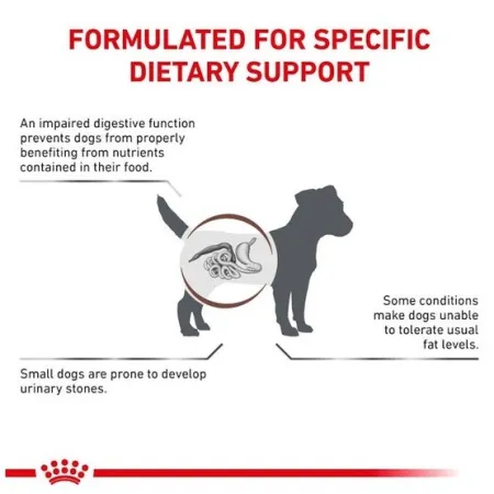 Royal Canin Veterinary Diet Canine Gastrointestinal Low Fat Small 3,5kg-2040943