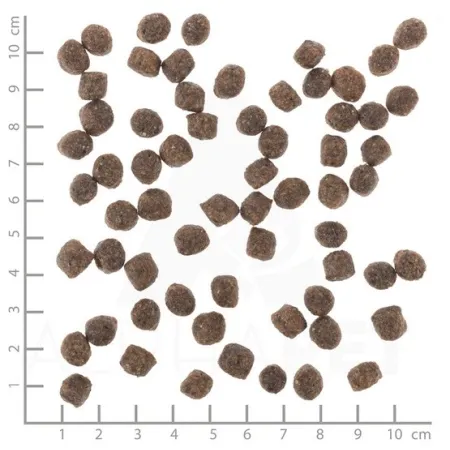 Wolfsblut Dog Range Lamb Adult Small - jagnięcina i ryż 2kg-2041021