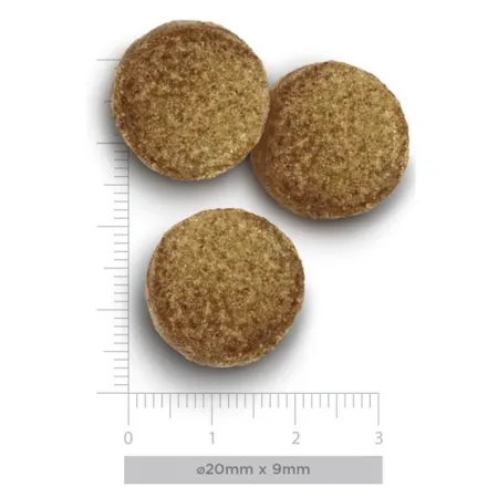 Amanova Dog Adult Large Exquisite Chicken - kurczak 12kg-2041047