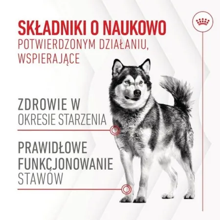 Royal Canin Joint & Ageing Chews Adult Supplements 240g-2041083