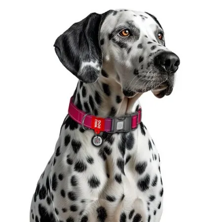 Collar WauDog Nylon Mono Obroża nylonowa odblaskowa z QR-paszportem, plastikowy fastex, S 15mm/25-35cm różowa-2041463