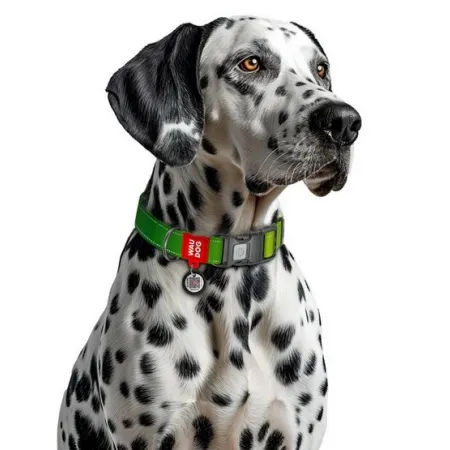 Collar WauDog Nylon Mono Obroża nylonowa odblaskowa z QR-paszportem, plastikowy fastex, M 20mm/28-40cm jasnozielona-204
