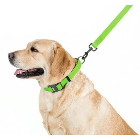 Collar Waterproof Smycz wodoodporna L-XXL 25mm/183cm jasnozielona-2041493