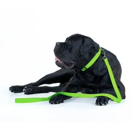 Collar Waterproof Smycz wodoodporna L-XXL 25mm/183cm jasnozielona-2041494