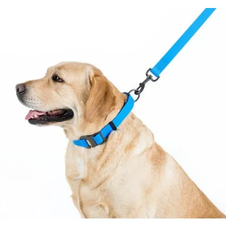 Collar Waterproof Smycz wodoodporna L-XXL 25mm/183cm niebieska-2041497