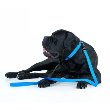 Collar Waterproof Smycz wodoodporna L-XXL 25mm/183cm niebieska-2041498