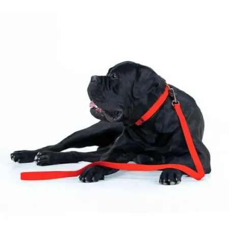 Collar Waterproof Smycz wodoodporna M 20mm/183cm czerwona-2041502